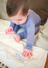 All Season Washable Wool Duvet