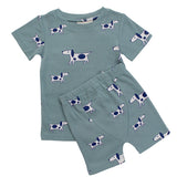 The Spring Collection Pjs