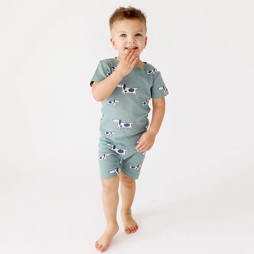 The Spring Collection Pjs