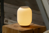 Night Light - Loon