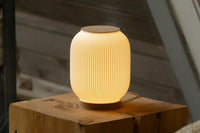 Night Light - Loon